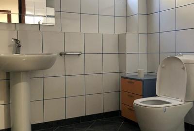 Vila 6 camere cu iesire la lacul Baneasa teren 317 mp - 9