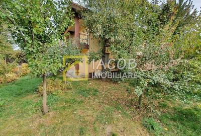 Casa P+1 si 1835 mp teren, deschidere 51 ml, loc. Dumbrava - Bacau - 3