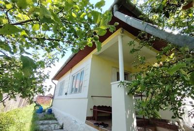 Casa de locuit (Ditrau, str. Livezii) - 3