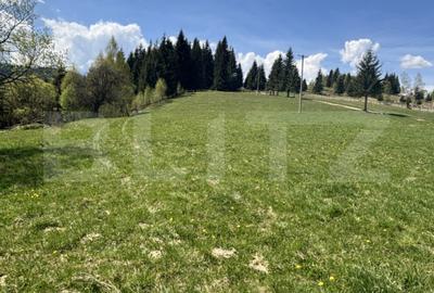 Teren Construcții de 3200 mp, în Vatra Dornei