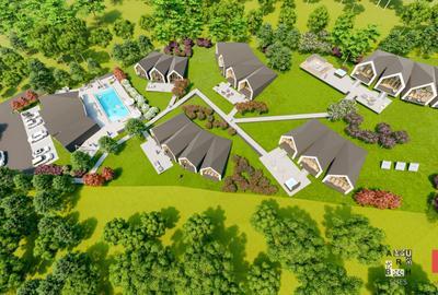 Oportunitate Investitie - Teren Intravilan Zona Viticola - 10