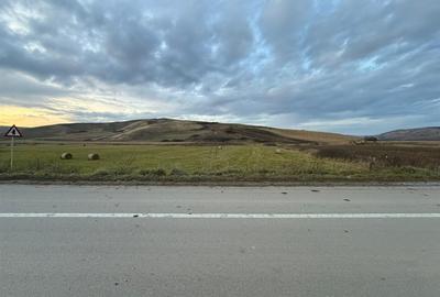 Teren Extravilan I 6000 Mp I Acces la drum | Cojocna - 5