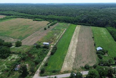 Snagov, Gruiu, Teren Intravilan 8,300 mp, Strada Tobosari - 5