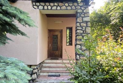 Bran - Casa pe strada Valea Portii, 223 mp, 4 dormitoare, teren 320 mp - 31