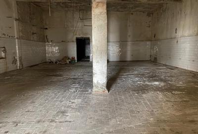 Hale industriale, 30000 mp, teren 65000 mp, zona Podari - 8