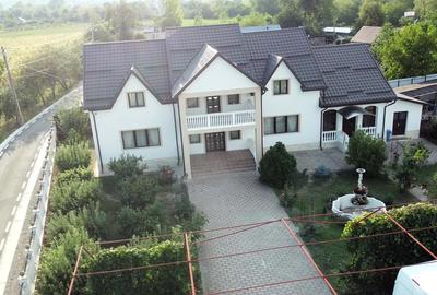 Vila superba 400m2 complet mobilata cu 5000m2 de teren - 1
