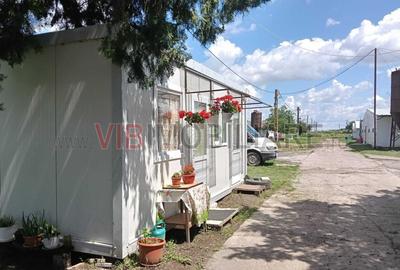 Afacere de vânzare: Fermă Creștere Pui – Ialomița la 60 km de București - 5
