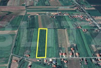 Teren Construcții intravilan de 11500 mp, în Exterior Vest