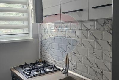 Apartament cu 1 camere de închiriat în zona Darmanesti - 14