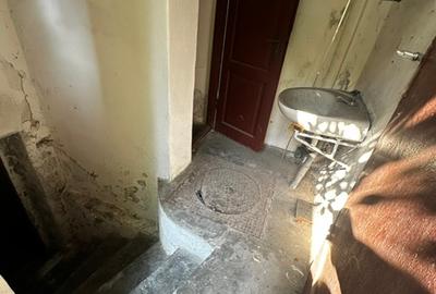 Vila individuala cu 4 camere, garaj in zona Floreasca- Barbu Vacarescu - 18