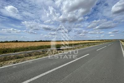 Teren agricol intravilan de 55000 mp, în Ianova