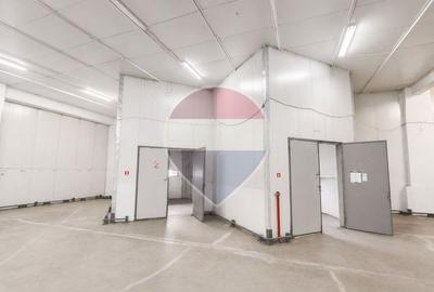 Hală 590 mp cu acces TIR și 2 rampe în zona Aeroport - 5