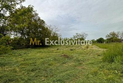 Teren Construcții intravilan de 1666.12 mp, în Prundu
