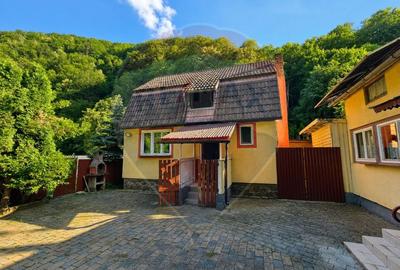 Cabană la munte, zona Someșul cRece - 2