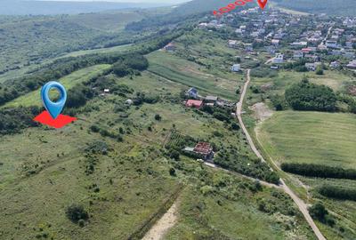 Teren 593 mp - Breazu|Copou, acces rapid la strada principala! - 3