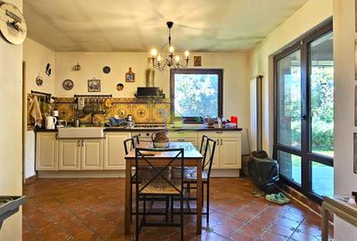Casa cocheta amplasata pe un teren de 700 mp, Tamasi/Corbeanca - 16