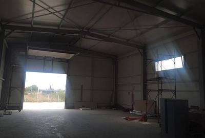 Vanzare depozit/hala/spatiu industrial Domnesti - Centura, Ilfov - 4