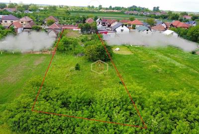 Casa cu teren intravilan de 2.211 mp | Centru, comuna Apa - 5