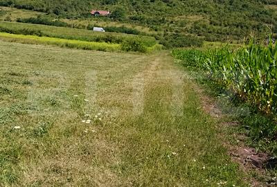 Teren agricol extravilan de 5800 mp, în Exterior Vest