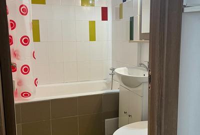 2 camere semidecomandat – Câmpia Libertății, lângă Parcul Gheorghe Petrașcu - 13