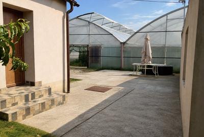 Proprietate cu afacere agricola la cheie - 14