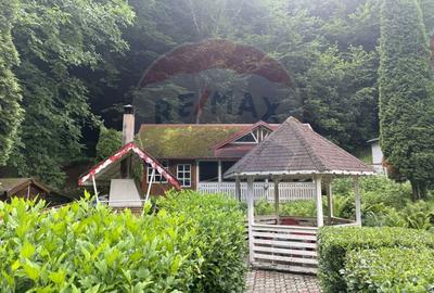 Cabana autentica de munte Frasinet - Baisoara 600 mp teren - 12