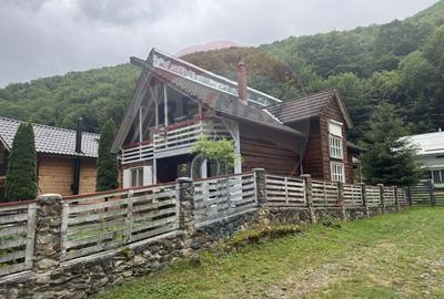Cabana autentica de munte Frasinet - Baisoara 600 mp teren - 2