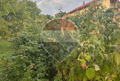 Casă / Vilă cu 8 camere de vânzare în Suceava - 36