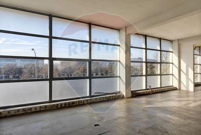 302 mp spatiu birouri, clinică sau showroom, Piața 1 Mai, de inchiriat - 1