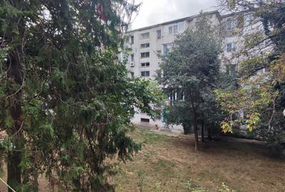 Apartament liber, et. 1, Scoala 8. Disponibil acum. - 10