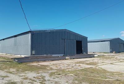 Spatiu industrial -  depozitare hale Baza Receptie Ghimpati Giurgiu - 5