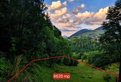 Teren agricol extravilan de 8635 mp, în Peștera