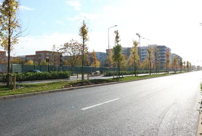 DRUMUL TABEREI | 3 CAMERE | PARTER | CURTE PROPRIE 57MP| 2 BAI | COMISION 0% | - 30