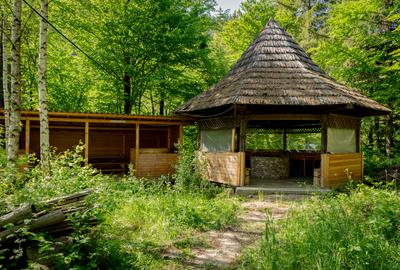 Cabană: afacere și vacanță în același loc | Camenca, Brusturoasa - 5