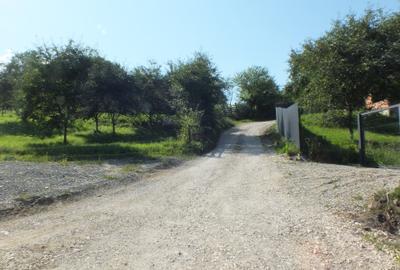 Teren Bran Sohodol , o zona de vis, o priveliste unica spre muntii Bucegi! - 13