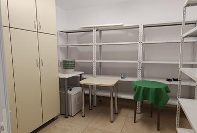 Spatiu comercial de inchiriat Motilor - 8