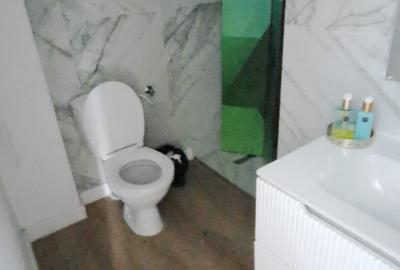Vila renovata Dorobanti Capitale - 8