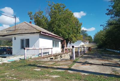 Spatiu industrial -  depozitare hale Baza Receptie Ghimpati Giurgiu - 9
