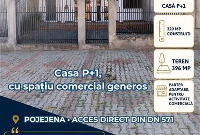 Casa P+1, 320 mp construiti, Pojejena - parter adaptabil pentru activitate - 1