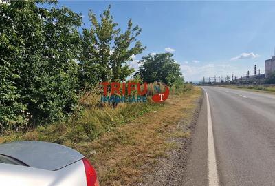 Teren Construcții intravilan de 5900 mp, în Periferie