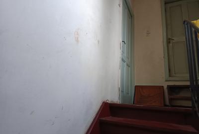 CASA SINGUR CURTE PARCUL CAROL TEREN IN PROPRIETATE 620MP POTENTIAL ENORM DIVERS - 5