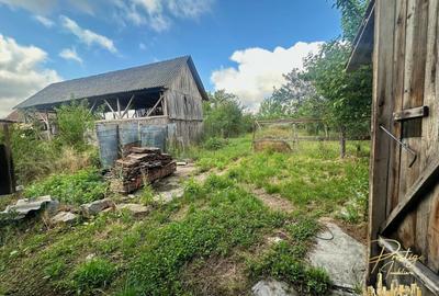 Casa cu anexe si teren de 959 mp de vanzare in Tinca - Bihor - 34