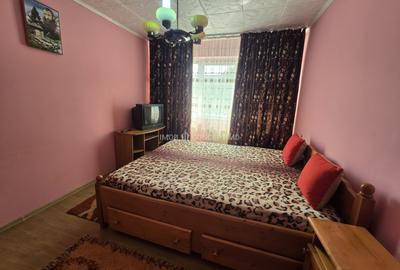 Inchiriere Apartament 2 camere zona Vest-Eremia Grigorescu - 8