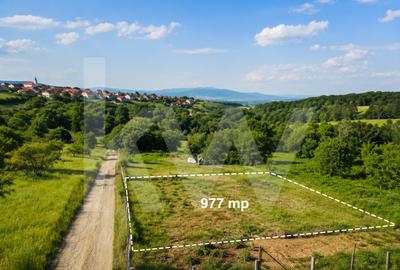 Teren Intravilan 977 mp de Vânzare în Cisnădioara – Locație de Poveste - 1