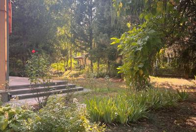 Paradisul Verde, 2.000 mp pentru o reședință care intră în elita cartierului - 4