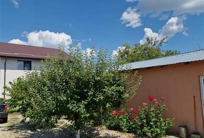 Casa P+M de vanzare Sabareni - 23