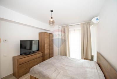 Apartament de inchiriat 2 camere zona Titulescu I Banu Manta Sector 1 - 11