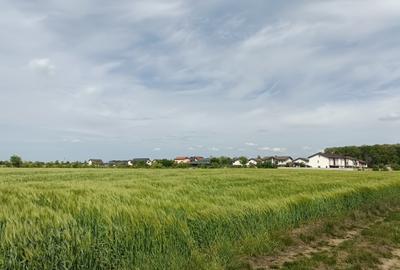 Teren intravilan lotizat, 8236 mp, Corbeanca - 3