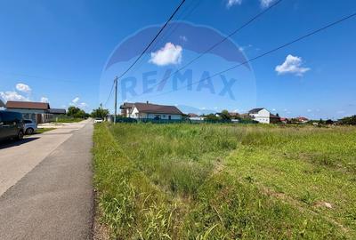 De vanzare Teren intravilan 1000 mp, langa padure, Moara Vlăsiei - 9