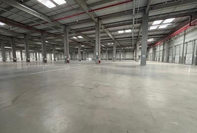 Spațiu industrial, 10600 mp în Centura Nord